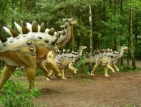 dinosauri mammiferi animali preistorici dell'era glaciale laboratorio di modellini 04